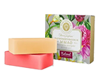 Ayurvedic Care